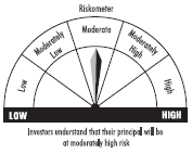 riskometer
